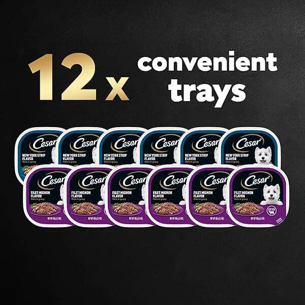 Cesar Filets in Gravy Adult Wet Dog Food Variety Pack, Filet Mignon and New York Strip Flavors, 3.5 oz. Easy Peel Trays, Variety Pack of 12 - Image 3