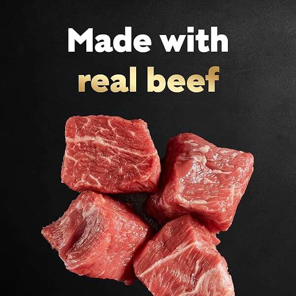 Cesar Filets in Gravy Adult Wet Dog Food Variety Pack, Filet Mignon and New York Strip Flavors, 3.5 oz. Easy Peel Trays, Variety Pack of 12 - Image 4