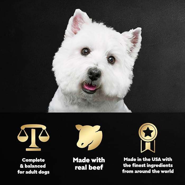 Cesar Filets in Gravy Adult Wet Dog Food Variety Pack, Filet Mignon and New York Strip Flavors, 3.5 oz. Easy Peel Trays, Variety Pack of 12 - Image 5