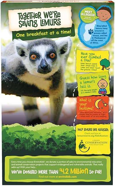 EnviroKidz Organic Leapin' Lemurs Cereal, 10 oz (Pack of 1), Peanut Butter & Chocolate, Gluten Free, Fair Trade, by Nature's Path - Image 3