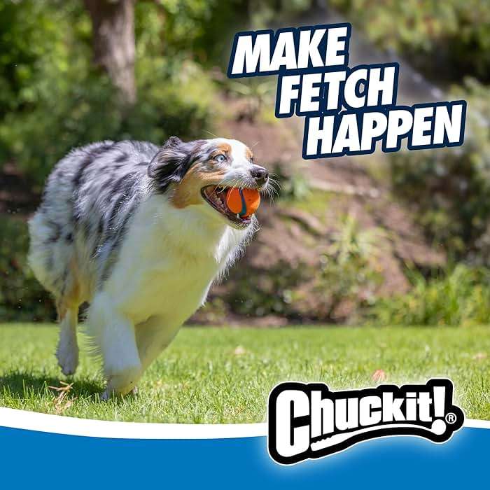 Chuckit Gen 1 Fetch Pack Dog Balls - Interactive Dog Toys, High-Bounce Fetch Ball, Floating Ultra and Rugged Balls, Durable - Size Medium, 2.5-inch Diameter, Set of 3 - Image 5