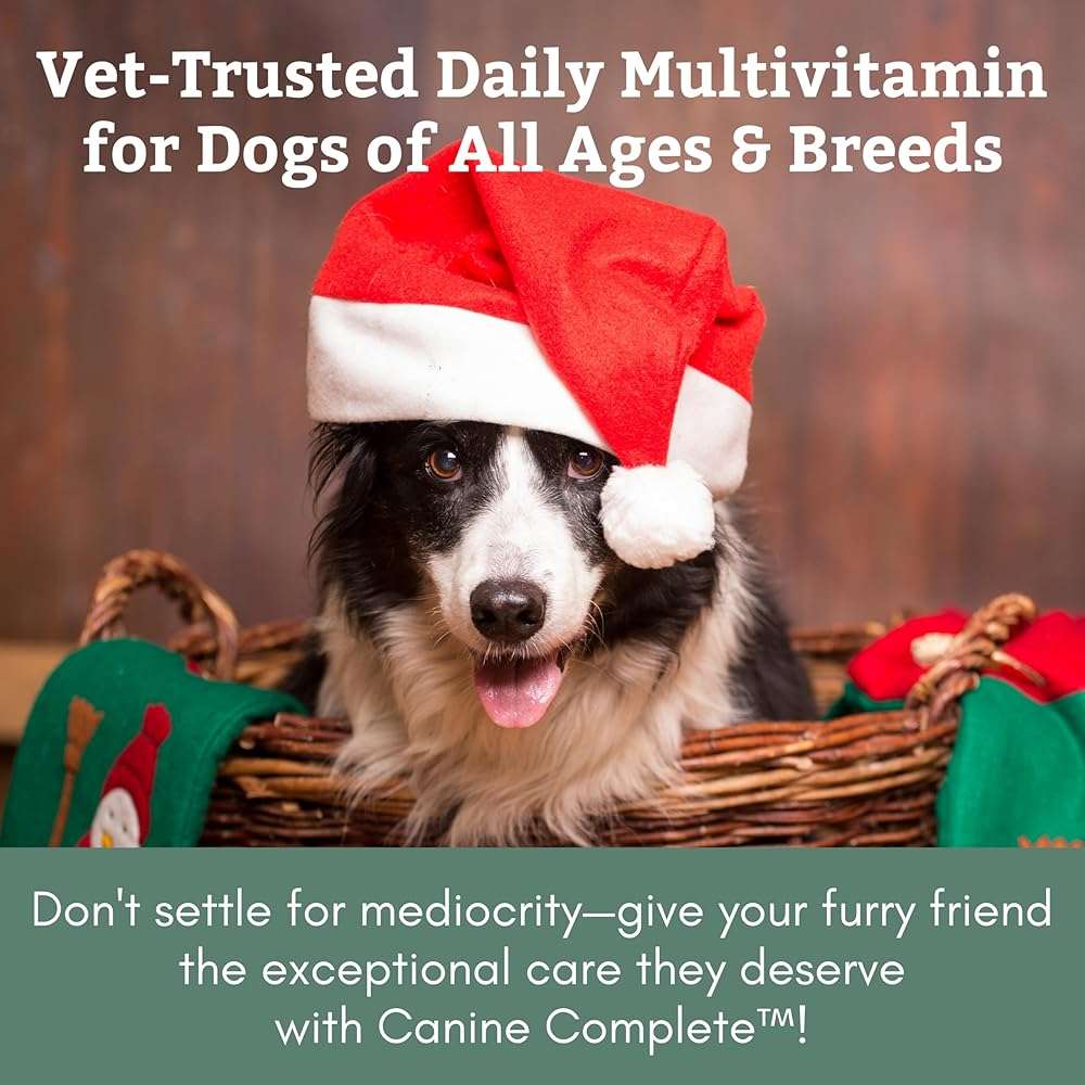 Wholistic Pet Organics Canine Complete - Dog Multivitamin Powder - 1 Lb - Daily Dog Vitamins and Supplements for Homemade Food - Immune System, Skin, Coat & Overall Health - All Breeds - 45 Scoops - Image 2