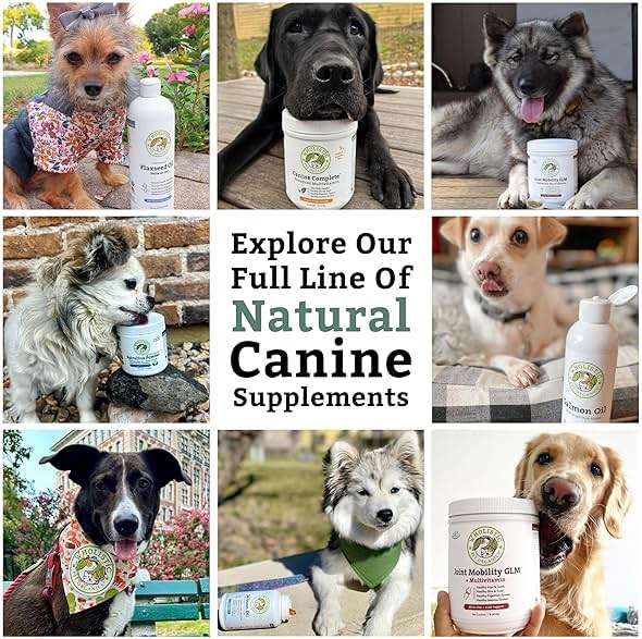 Wholistic Pet Organics Canine Complete - Dog Multivitamin Powder - 1 Lb - Daily Dog Vitamins and Supplements for Homemade Food - Immune System, Skin, Coat & Overall Health - All Breeds - 45 Scoops - Image 9