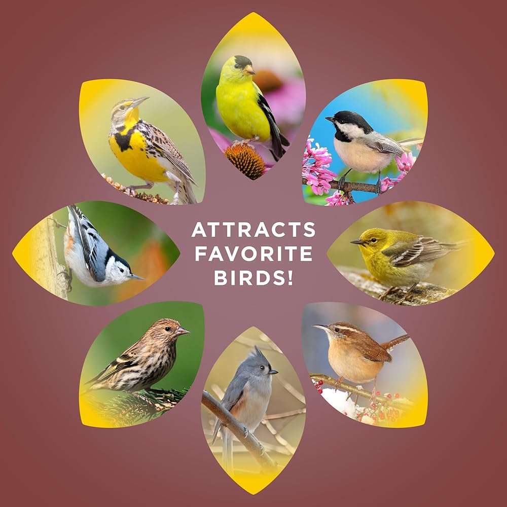 Audubon Park Sunflower Hearts & Chips Wild Bird Food, No Mess Sunflower Seeds for Birds, 5-Pound Bag - Image 6