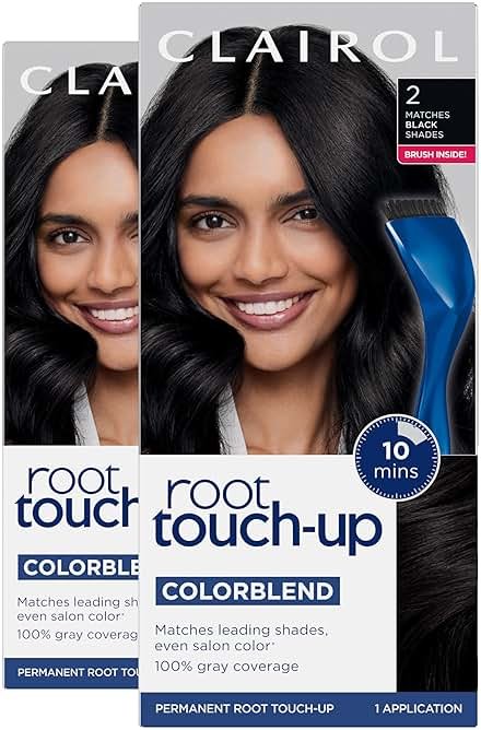 Clairol Root Touch-Up by Nice'n Easy Permanent Hair Dye, 2 Black Hair Color | 100% Gray Coverage | Easy Brush Application | Matches Professional Salon Shades | Pack of 2 - Product Image