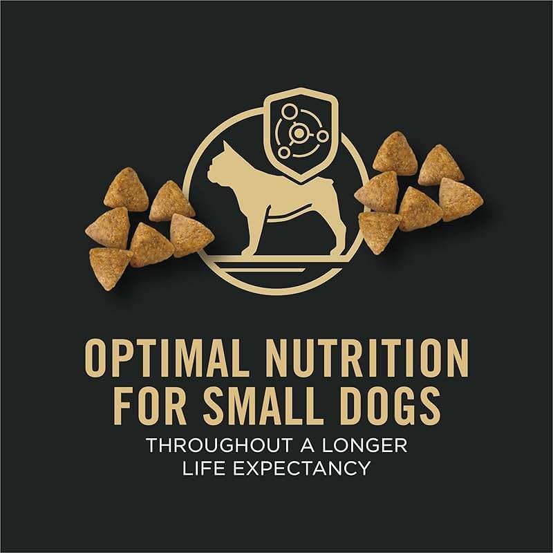Purina Pro Plan Small Breed Dry Dog Food Chicken and Rice Formula With Guaranteed Live Probiotics - 6 lb. Bag - Image 3