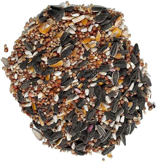Wagner's 62067 Deluxe Treat Blend Wild Bird Food, 4 Pound (Pack of 1) - Image 3