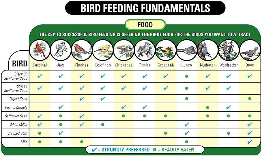 Wagner's 62067 Deluxe Treat Blend Wild Bird Food, 4 Pound (Pack of 1) - Image 4