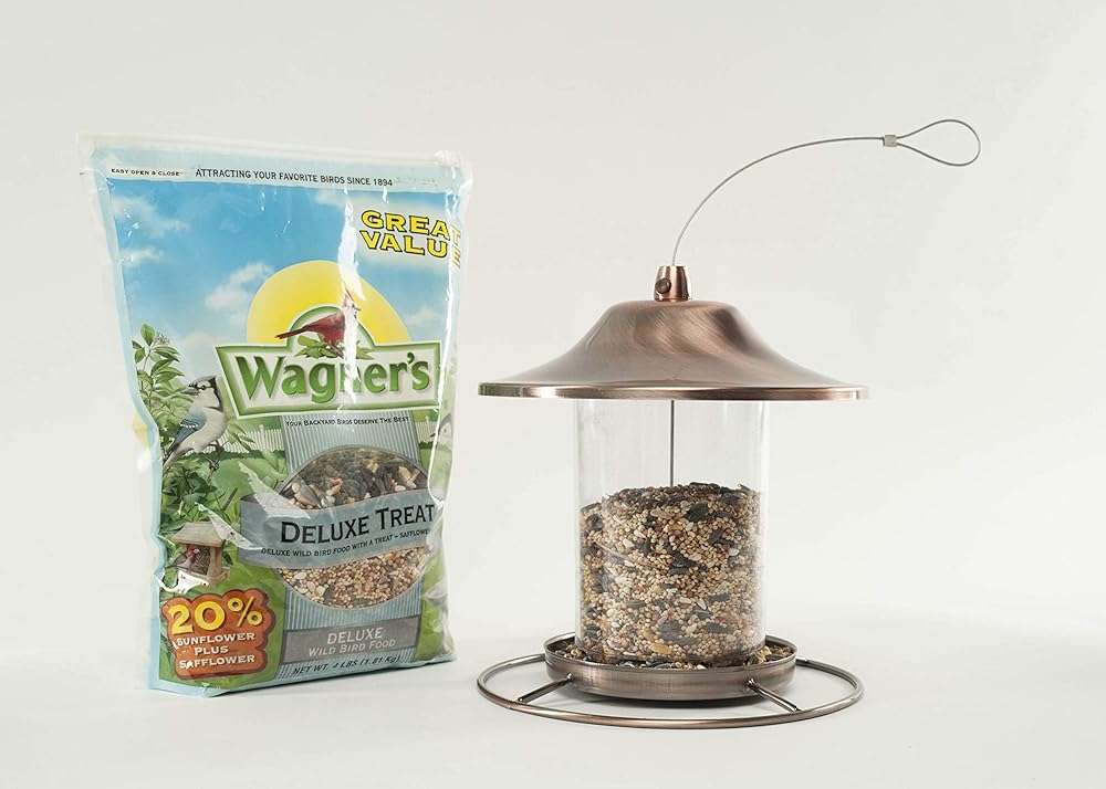 Wagner's 62067 Deluxe Treat Blend Wild Bird Food, 4 Pound (Pack of 1) - Image 7