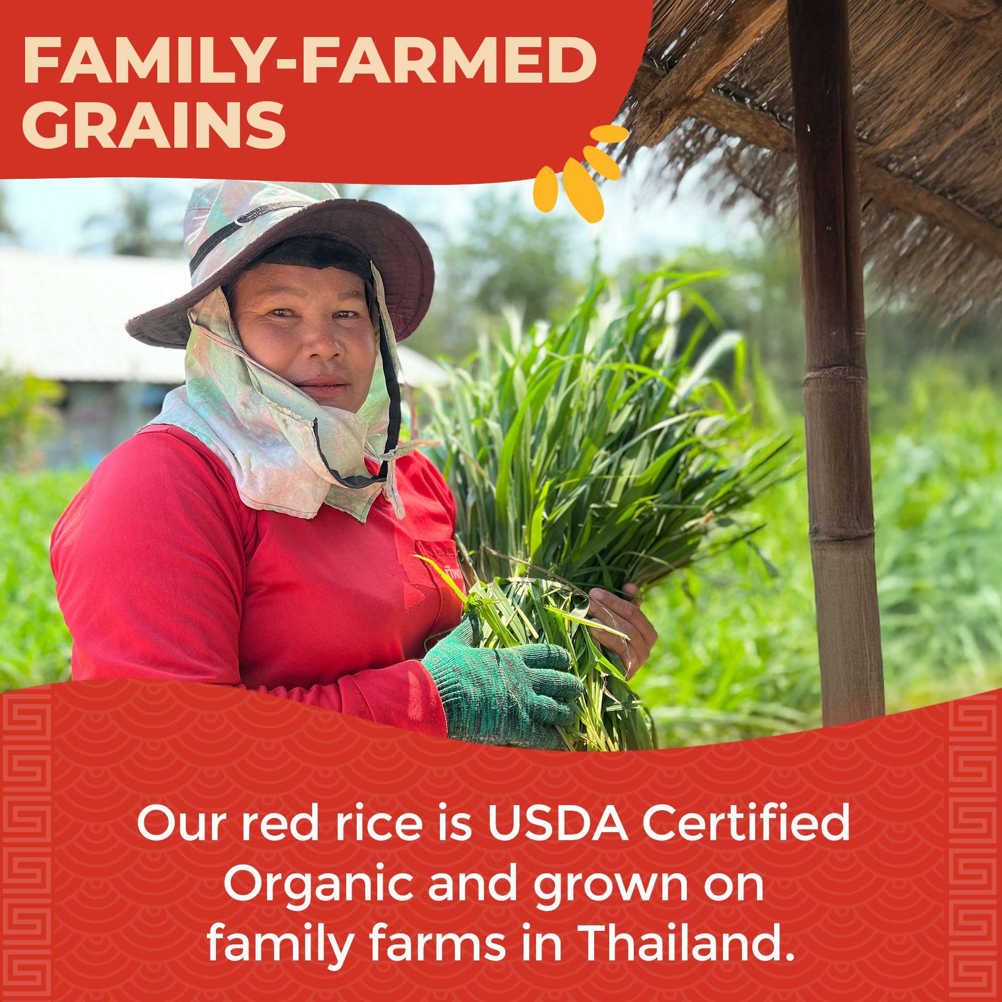 Lotus Foods Organic Red Rice - Red Rice Organic, Rice Red, Whole Grain Rice, Long Grain Asian Sticky Rice, USDA Organic, Non-GMO, Gluten Free - 15 Oz Bag (Pack of 6) - Image 7