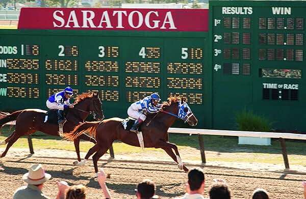 Secretariat - Image 5