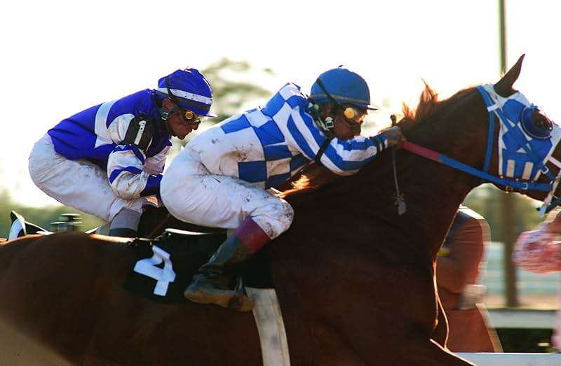 Secretariat - Image 6