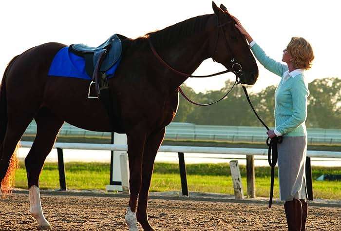 Secretariat - Image 7