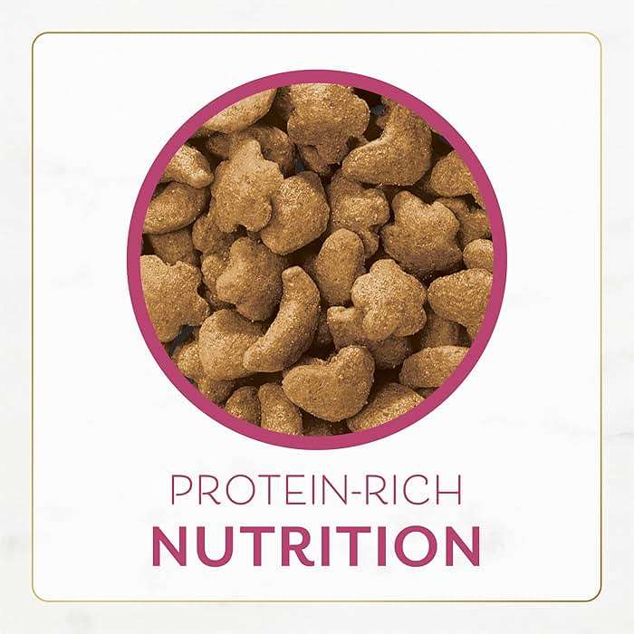 Purina Fancy Feast Dry Cat Food Filet Mignon Flavor with Seafood and Shrimp - 12 lb. Bag - Image 9