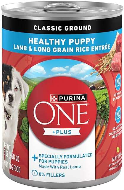 Purina ONE Plus Wet Puppy Food Classic Ground Healthy Puppy Lamb and Long Grain Rice Entree - (Pack of 12) 13 oz. Cans - Image 1