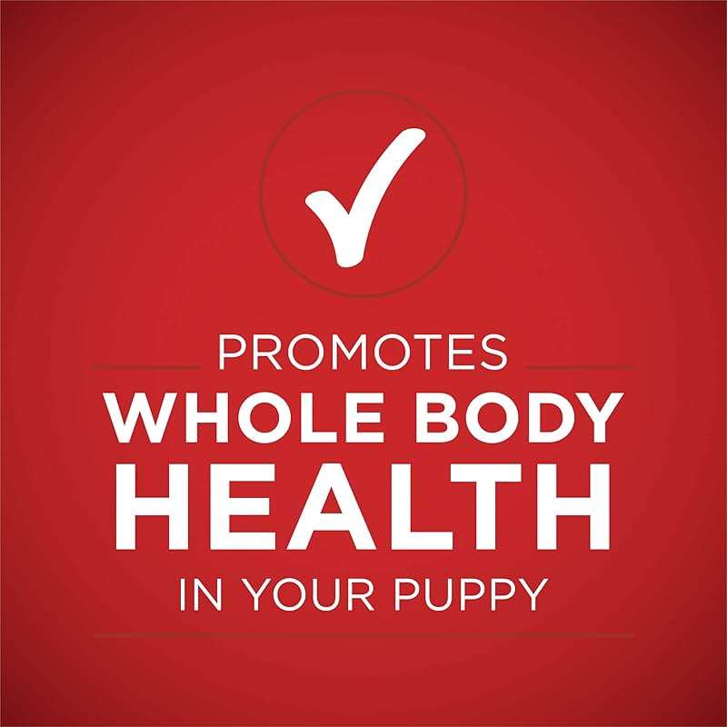Purina ONE Plus Wet Puppy Food Classic Ground Healthy Puppy Lamb and Long Grain Rice Entree - (Pack of 12) 13 oz. Cans - Image 7