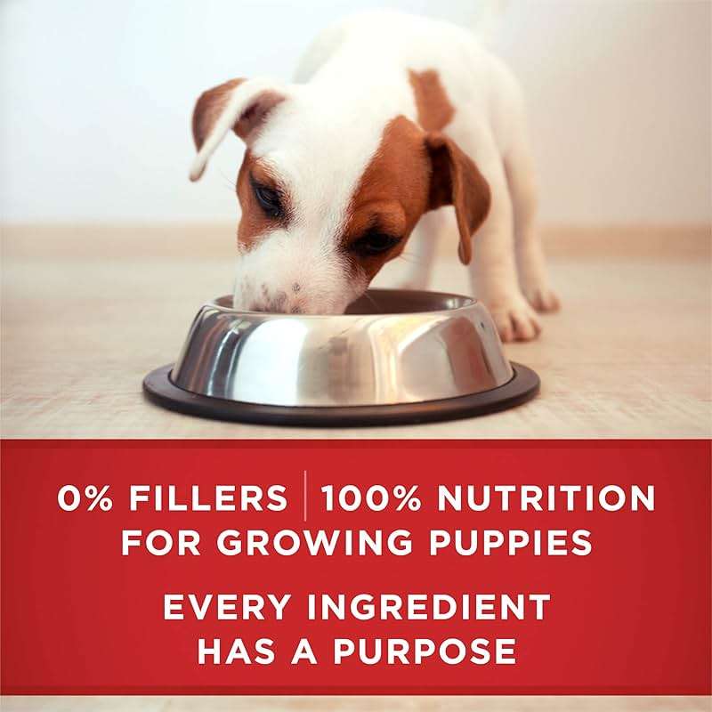 Purina ONE Plus Wet Puppy Food Classic Ground Healthy Puppy Lamb and Long Grain Rice Entree - (Pack of 12) 13 oz. Cans - Image 8