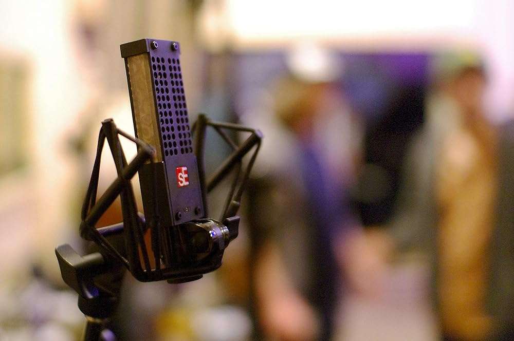 SE ELECTRONICS VR1 Passive Ribbon Microphone with Full 20Hz-18kHz Frequency Response - Classic Ribbon Mic for Acoustic Guitar, Guitar Cabinets, Drums, Acoustic Instruments, Vocals & More - Image 6