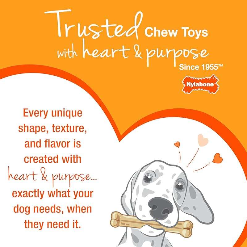 Nylabone Ring Bone Chew Toy for Puppies, Puppy Teething Toys, Puppy Enrichment Toys, Chicken Flavor, X-Small Dogs - Up to 15 lbs, 1 Count - Image 12
