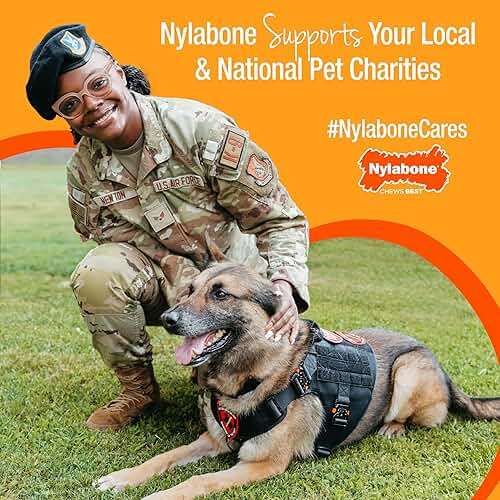 Nylabone Ring Bone Chew Toy for Puppies, Puppy Teething Toys, Puppy Enrichment Toys, Chicken Flavor, X-Small Dogs - Up to 15 lbs, 1 Count - Image 10