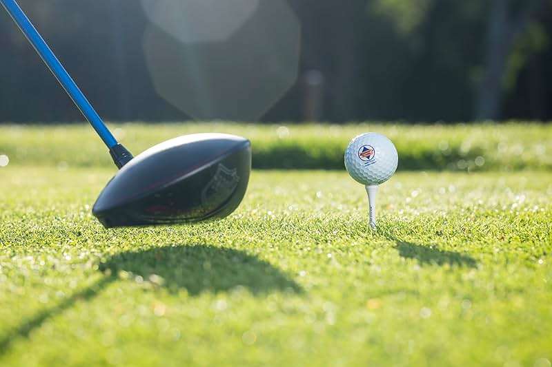 PrideSports PTS Wood Golf Tees | 175 Count, 2-3/4 Inch | #1 Wood Tee on Tour | Best for Drivers & Woods - Image 2