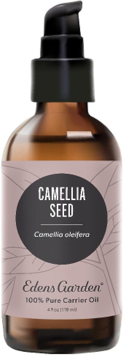 Edens Garden Camellia Seed Carrier Oil- 100% Pure Premium Cold Pressed & Hexane Free, Natural Moisturizer for Face, Skin, Hair, Scalp & Nail Care, Diluting Essential Oils & Massage 118 ml (4 fl oz) - Product Image