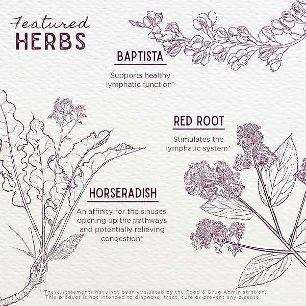 WishGarden Herbs Kick-Ass Sinus, Herbal Sinus Support, Yerba Santa, Elderflower, Goldenseal, Horseradish, Sinus Congestion Relief, Liquid Tincture, 1oz - Image 4
