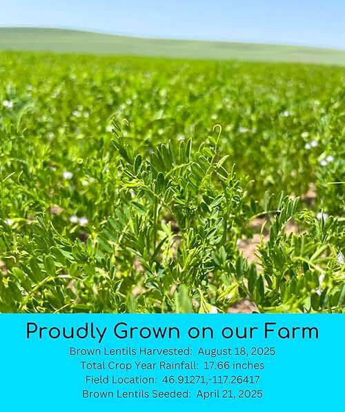 Palouse Brand Certified Glyphosate Residue Free Chickpeas and Brown Lentils | 10 LBS Total | Family Farmed in Washington State | Non-GMO Project Verified | Kosher | Field Traced (5 Pound, Pack of 2) - Image 4
