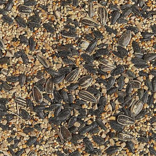 Kaytee Western Regional Wild Bird Seed, 7 lb - Image 4