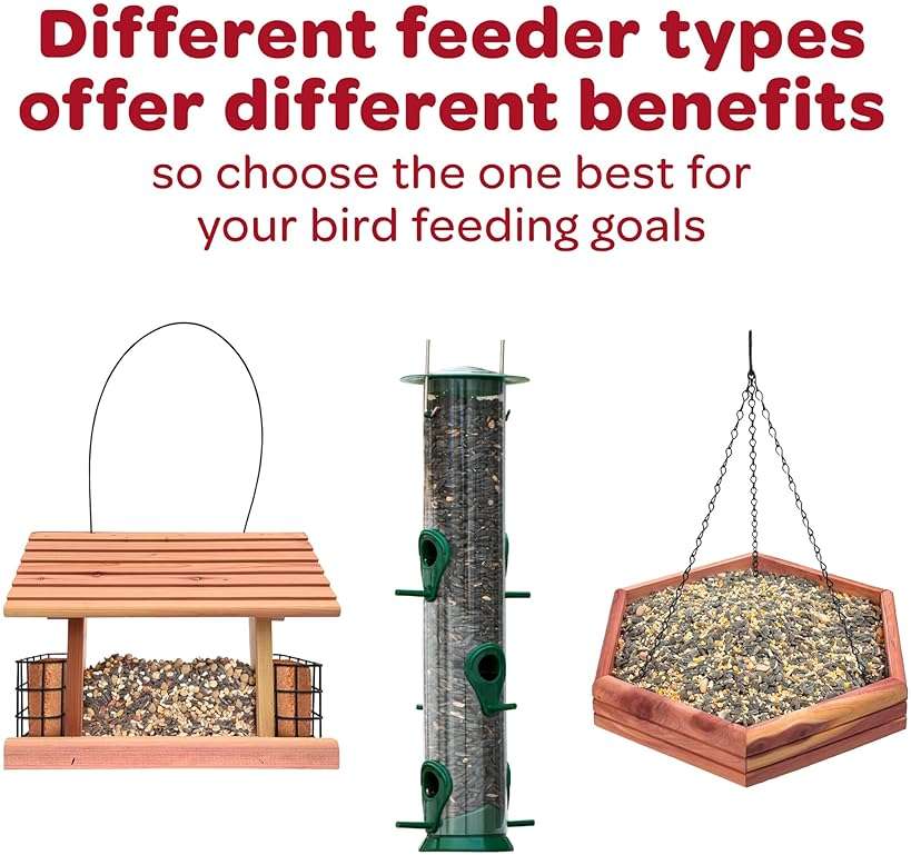 Kaytee Western Regional Wild Bird Seed, 7 lb - Image 6
