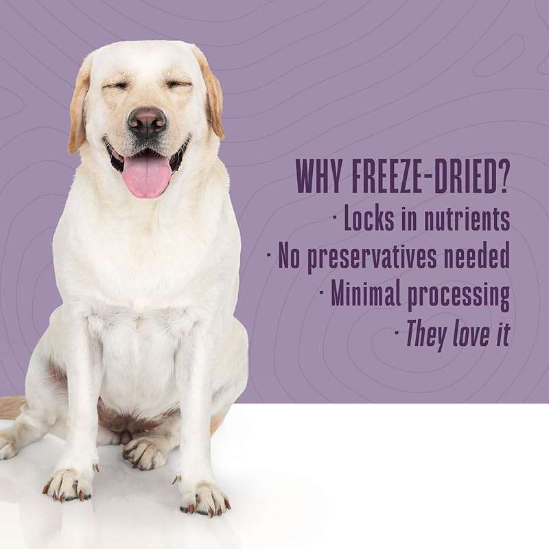 Whole Life Dog Just One Salmon Freeze Dried Dog Treats - Human Grade High Protein Food, Healthy Training Snacks, Freeze Dried Salmon Food Toppers, USA Made Natural Treats - 8 oz (Value Pack of 1) - Image 4