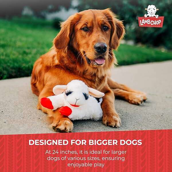 Multipet Lamb Chop Dog Plush Toy - Squeaky Toy for All Dogs - Extra Soft Plush - Stuffed Animal for Cuddling & Playing - Jumbo (24", Cream) - Image 7