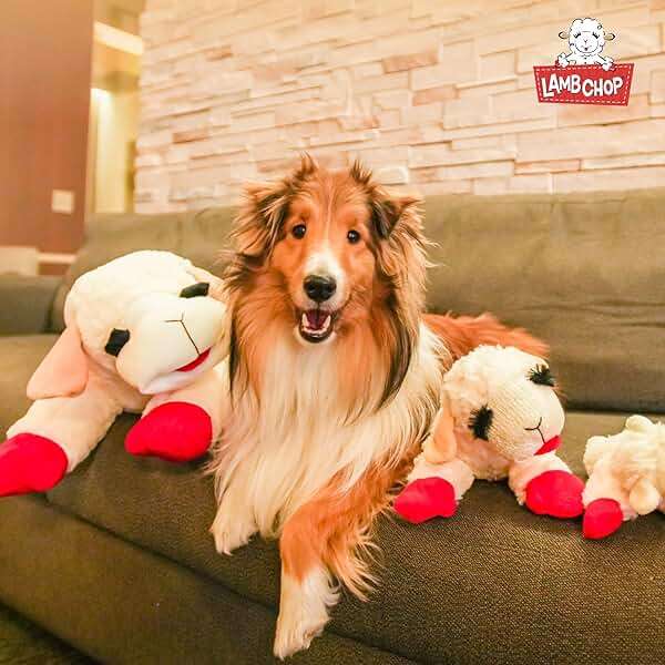 Multipet Lamb Chop Dog Plush Toy - Squeaky Toy for All Dogs - Extra Soft Plush - Stuffed Animal for Cuddling & Playing - Jumbo (24", Cream) - Image 8