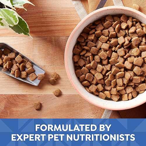 Nature's Recipe Grain Free Small Breed Dry Dog Food, Chicken, Sweet Potato & Pumpkin Recipe, 4 lb. Bag - Image 7