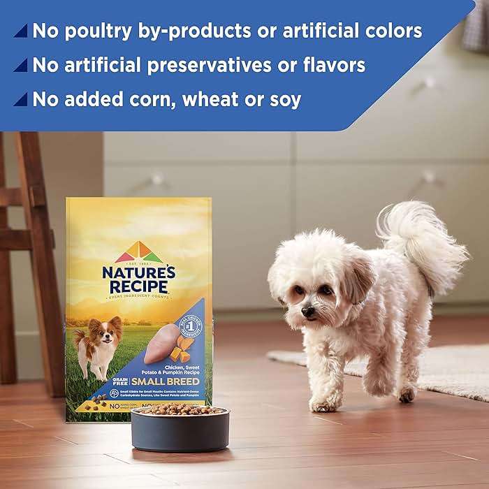 Nature's Recipe Grain Free Small Breed Dry Dog Food, Chicken, Sweet Potato & Pumpkin Recipe, 4 lb. Bag - Image 8