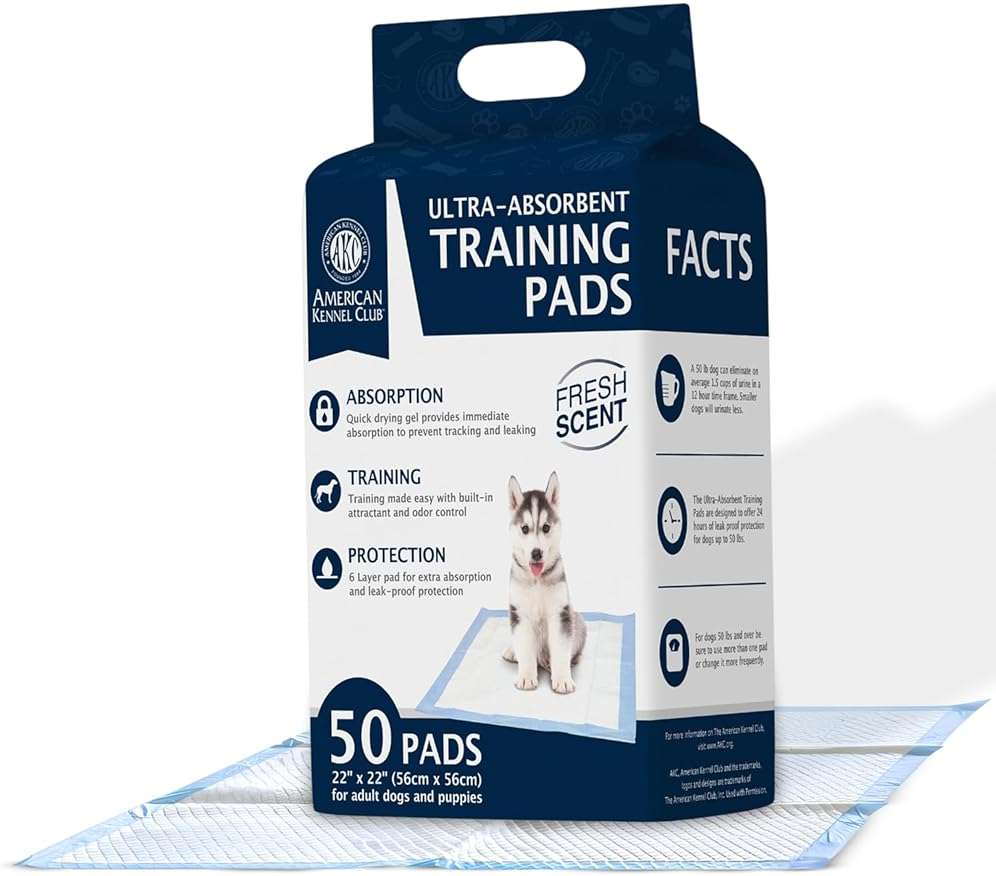 American Kennel Club Scented Puppy Pads –Large Size – 30x26 Ultra Absorbent 6-Layer Pee Pads with Odor Control & Quick-Dry Gel – Fresh Scent – 50 Count (Fresh Scented, 22 x 22 - 50 Count) - Image 1