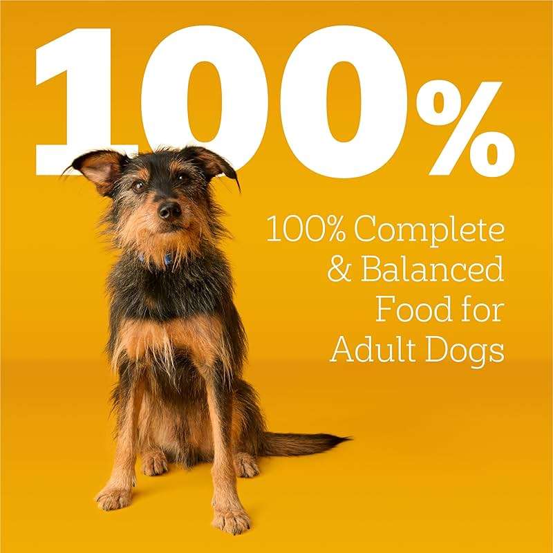 Pedigree Adult Dry Dog Food, Complete Nutrition, Roasted Chicken & Vegetable Flavor, 3.5 lb. Bag - Image 13