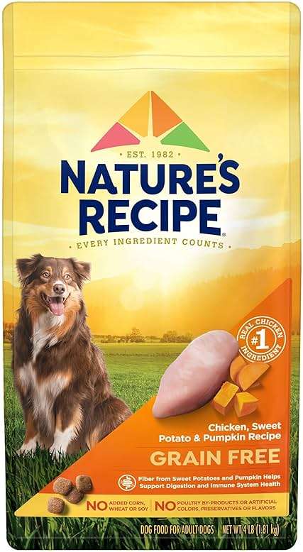 Nature's Recipe Grain Free Chicken, Sweet Potato & Pumpkin Recipe Dry Dog Food, 4 lb. Bag - Image 1