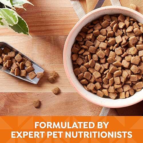 Nature's Recipe Grain Free Chicken, Sweet Potato & Pumpkin Recipe Dry Dog Food, 4 lb. Bag - Image 6