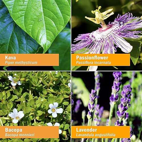 Herb Pharm Mind Soother: Lavender Liquid Herbal Formula with Noble Kava & Lavender Essential Oil for Nervous System Support, Calming & Relaxing, Vegan, Gluten-Free, Non-GMO, Up to 3 Week Supply, 1 oz* - Image 4
