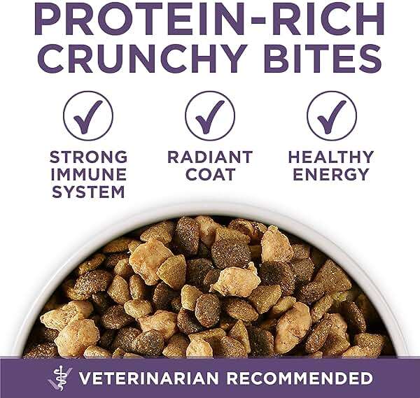 Purina ONE High Protein Dry Senior Dog Food Plus Vibrant Maturity Adult 7 Plus Formula - 31.1 lb. Bag - Image 2
