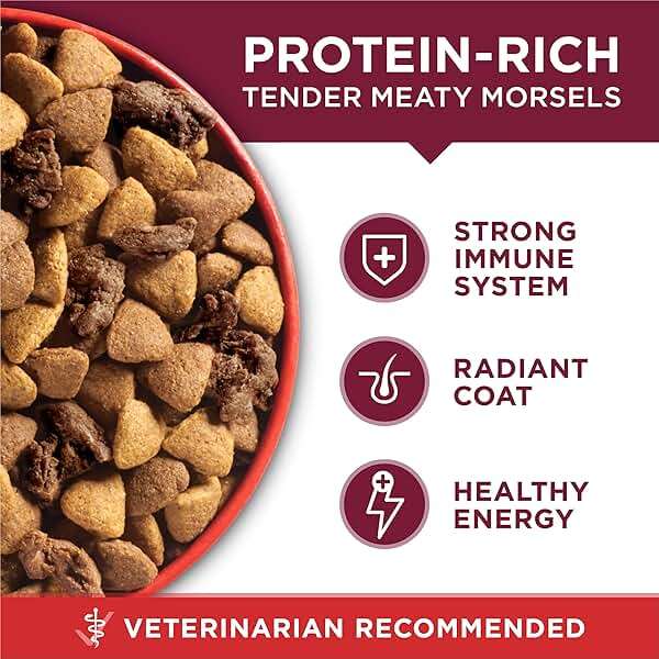 Purina ONE Small Bites Beef and Rice Formula Small High Protein Dry Dog Food Natural With Added Vitamins, Minerals and Nutrients - 31.1 lb. Bag - Image 2