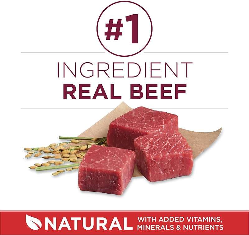 Purina ONE Small Bites Beef and Rice Formula Small High Protein Dry Dog Food Natural With Added Vitamins, Minerals and Nutrients - 31.1 lb. Bag - Image 3