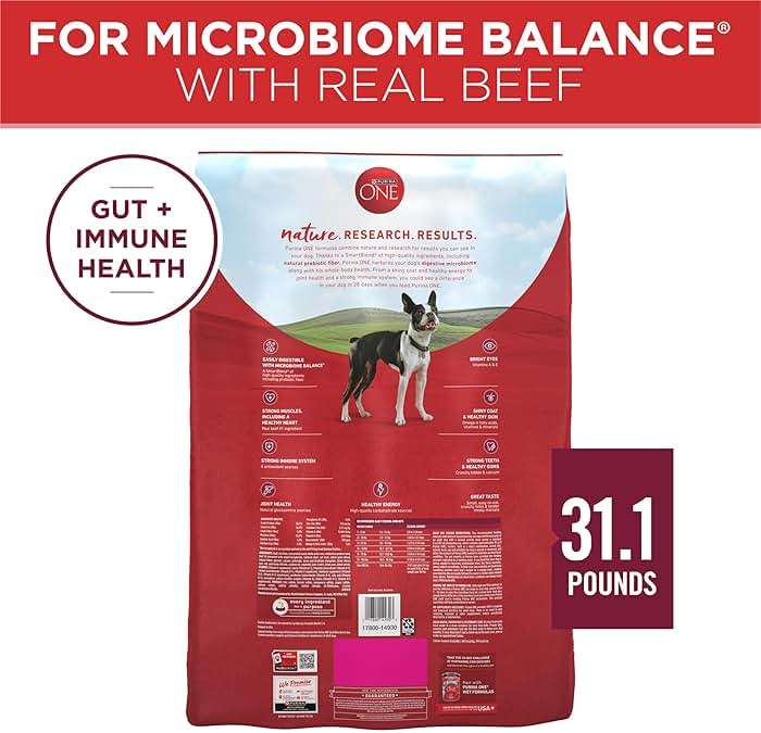 Purina ONE Small Bites Beef and Rice Formula Small High Protein Dry Dog Food Natural With Added Vitamins, Minerals and Nutrients - 31.1 lb. Bag - Image 6
