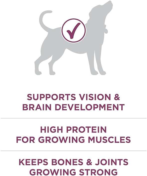 Purina ONE Plus Healthy Puppy Formula High Protein Natural Dry Puppy Food with added vitamins, minerals and nutrients - 16.5 lb. Bag - Image 4