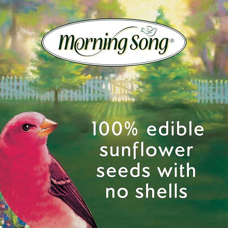 Morning Song Sunflower Hearts & Chips Wild Bird Food, No Mess Sunflower Seeds for Birds, 5.5-Pound Bag - Image 4