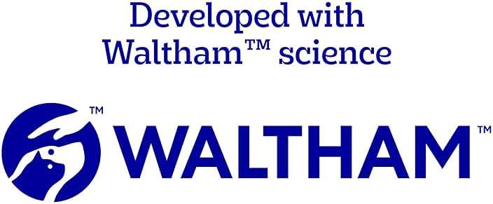 Pedigree Dentastix Large Breed Dog Treats, Original, Beef & Fresh Flavor, 2.73 lb. Variety Pack (51 Treats) - Image 12