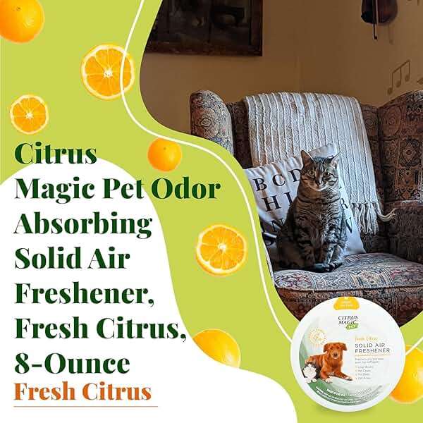 Citrus Magic Pet Odor Absorbing Solid Air Freshener for Home, Air Purifier, Fresh Citrus, Must have Pet Supplies, 8 Oz (Pack of 3) - Image 4