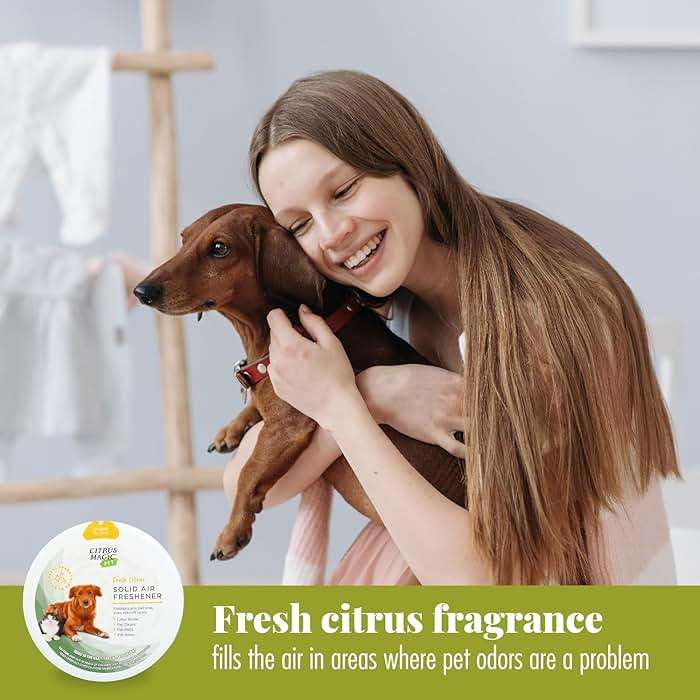 Citrus Magic Pet Odor Absorbing Solid Air Freshener for Home, Air Purifier, Fresh Citrus, Must have Pet Supplies, 8 Oz (Pack of 3) - Image 6