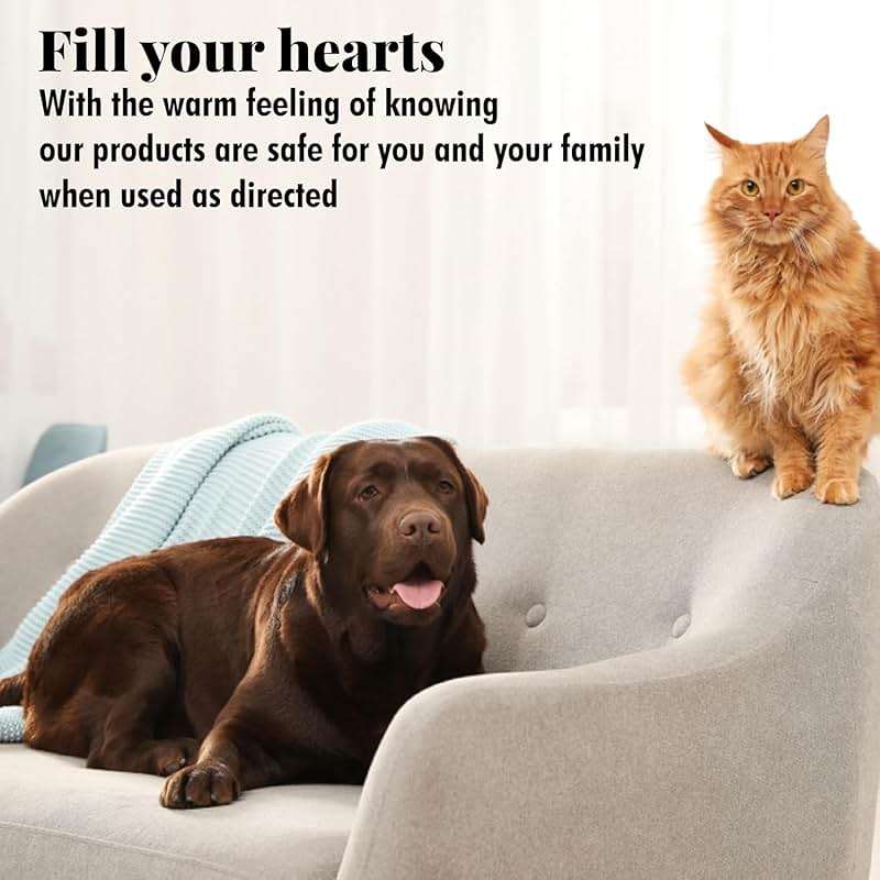 Citrus Magic Pet Odor Absorbing Solid Air Freshener for Home, Air Purifier, Fresh Citrus, Must have Pet Supplies, 8 Oz (Pack of 3) - Image 8